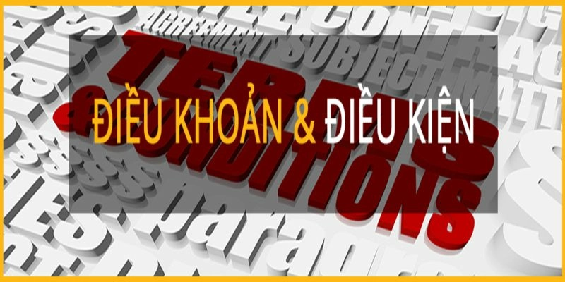 Những lưu ý về điều khoản và điều kiện mà người chơi cần biết